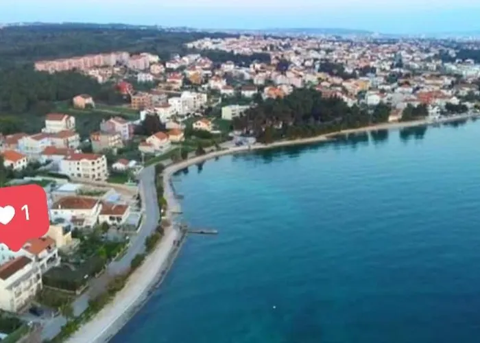 Zivkovic *